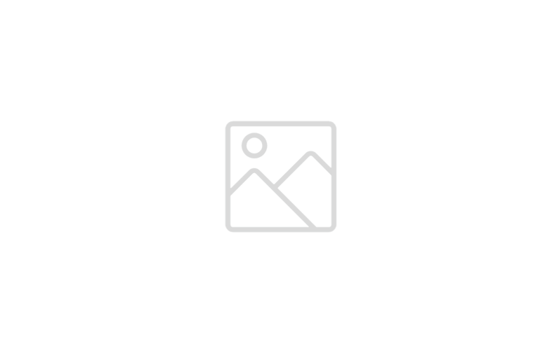 pensiondanmark logo-2